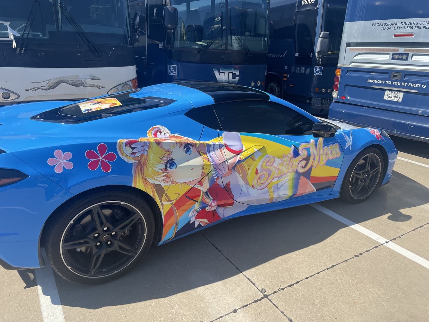 Auto Anime – Für Fans, die sich nicht verstecken