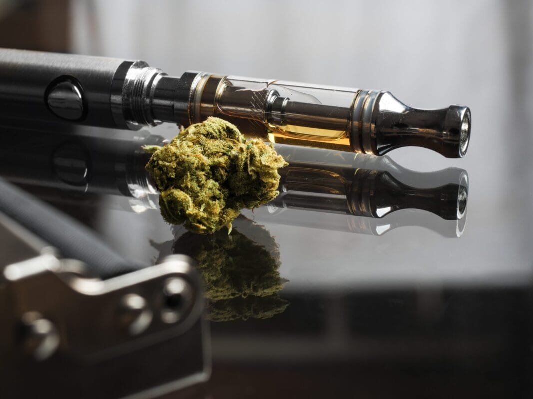CBD Blüten kaufen – Für den vollen CBD-Genuss ohne Kompromisse
